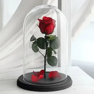 Πολυτελές αφυδατωμένο Forever Rose σε κομψή γυάλινη καμπάνα με ξύλινη βάση για την ημέρα του Αγίου Βαλεντίνου