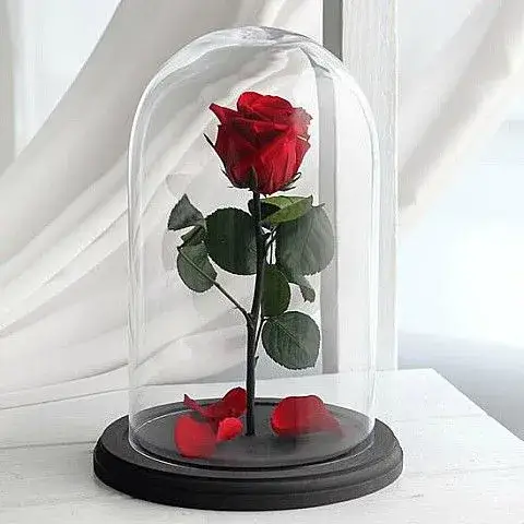 Πολυτελές αφυδατωμένο κόκκινο Forever Rose που διαρκεί για χρόνια σε κομψή γυάλινη καμπάνα από το Athens Flower Shop