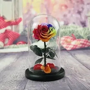 Πολύχρωμο τριαντάφυλλο forever rose rainbow σε γυάλινη καμπάνα για δώρο καλής ανάρρωσης